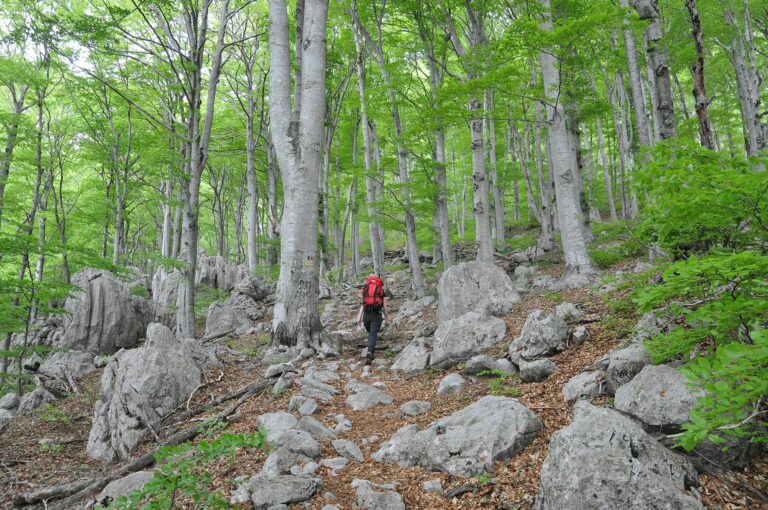 National park Paklenica